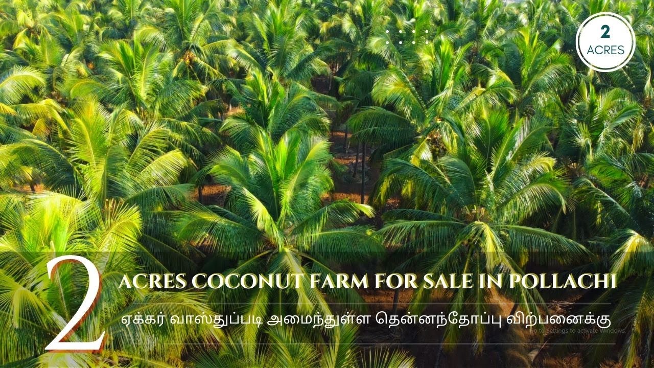 Sold out 2 ACRES COCONUT FARM FOR SALE IN POLLACHI 2ஏக்கர்