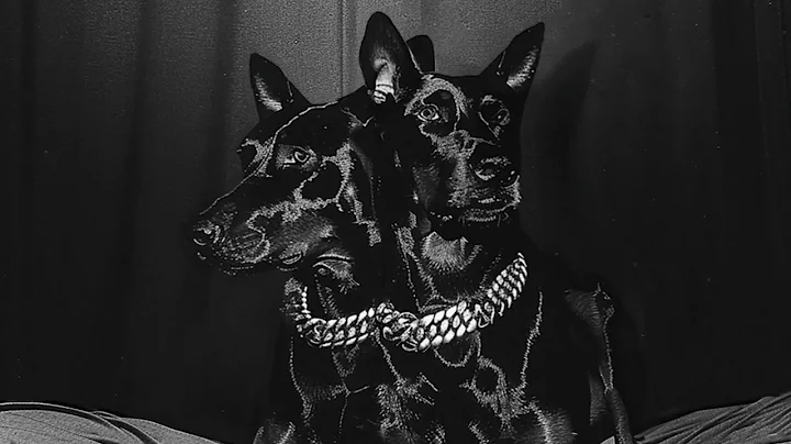 NTO 🔗 Sofiane Pamart - Horizon Talk (Visualizer)