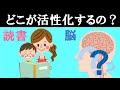 【驚愕】読書をすると脳のどの領域が活性化するの？　大人と子供で違いはあるの？　~本を読む事は圧倒的な利点があります！！~