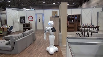 RoboCup@Home 2017 - EEGPSR Test of the Team Aupair