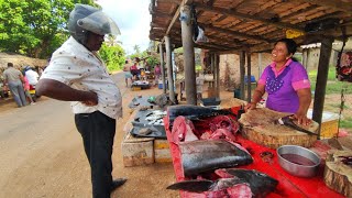 Wow!! Traditional Rural Village Beautiful Street Fish Markets Hard Working Womens in Sri Lanka