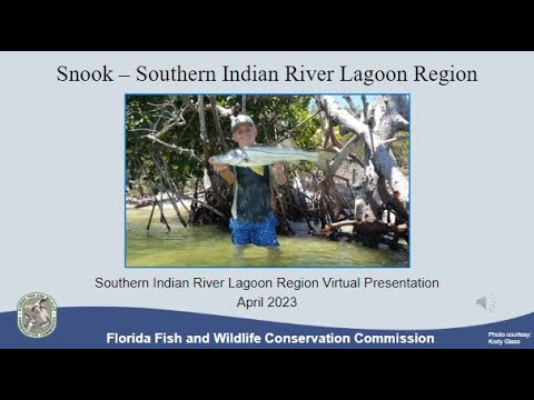 Snook - Big Bend Region 2023 Recorded Presentation 