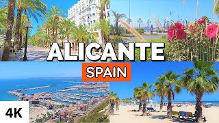 ALICANTE (Summer 2021) Costa Blanca / Spain