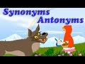 Synonyms and Antonyms