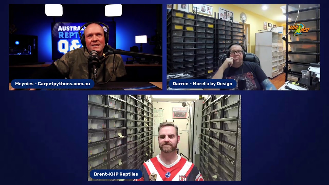 Australian Reptile Q&A Sunday Afternoon Session