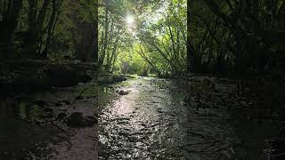 Fiume Melandro - Sasso Di Castalda