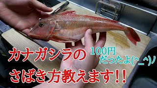 100円で買ったカナガシラのさばき方教えます Youtube