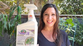 Neem Oil For Pest Control In Gardening - Ready to Use Spray