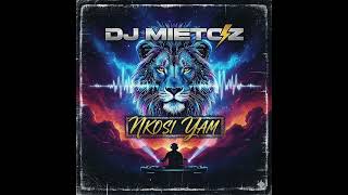 Dj Mietoznkosi Yam 2026visualizer