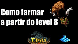 Tibia - Como conseguir dinheiro a partir do Level 8
