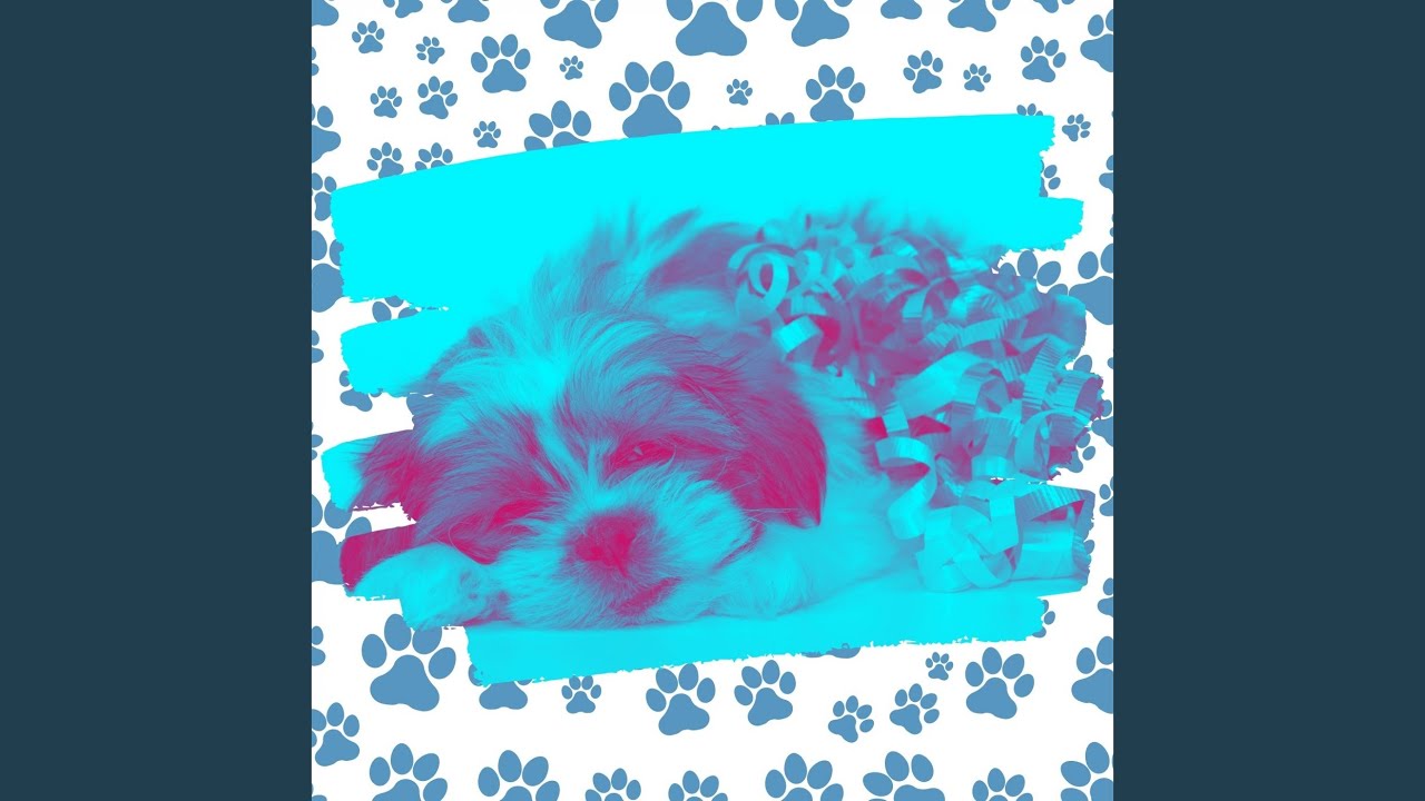 Warm Music for Dog Walking