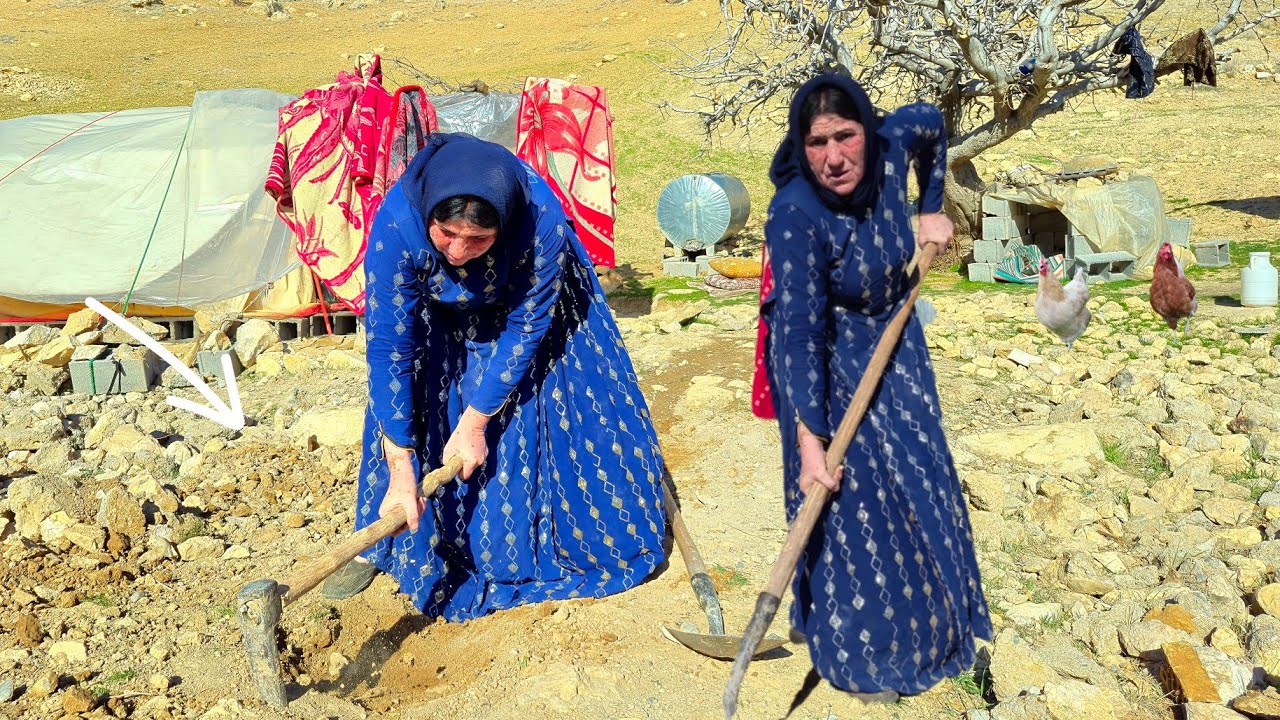 «Неустанная борьба бездомной матери за создание безопасного убежища: удастся ли ей это?»