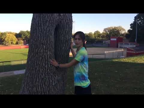 How to: climb trees without low hanging branches