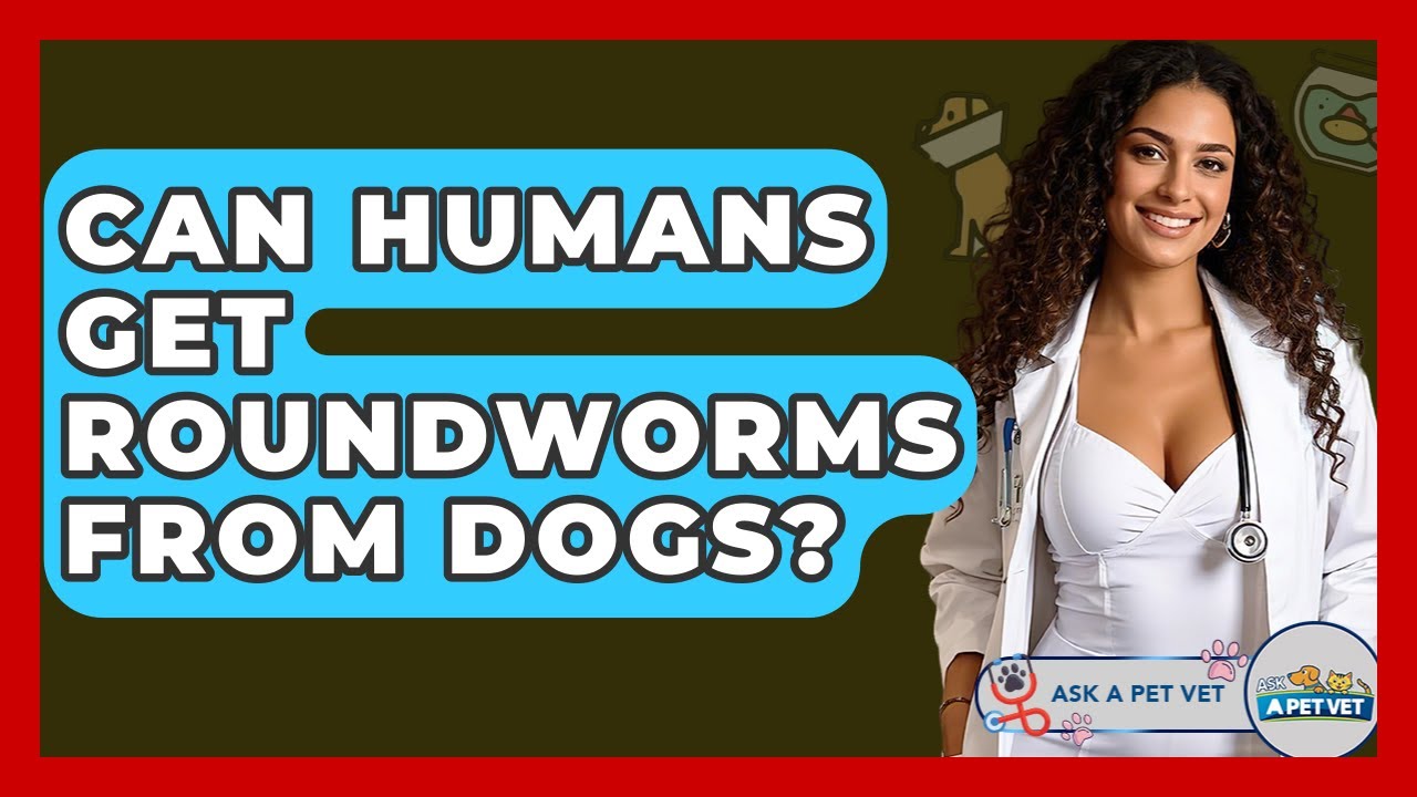Can Humans Get Roundworms From Dogs? - Ask A Pet Vet - YouTube
