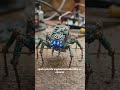 🕷️🤖 Meet the newest creation fresh off the workbench! subscribe us👇#DIYSpark #Robotics