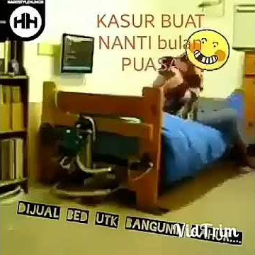 Video story wa....kasur bergerak😂buat orang yg susah bangun sahur😁😂wkwk ngakak