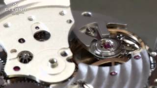 eterna movement