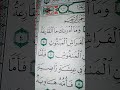 ما معنى يوم يكون الناس كالفراش المبثوث سورة القارعة ما معنى يوم يكون الناس كالفراش المبثوث سورة القارعة