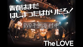 202601 TheLOVE Documentary PR