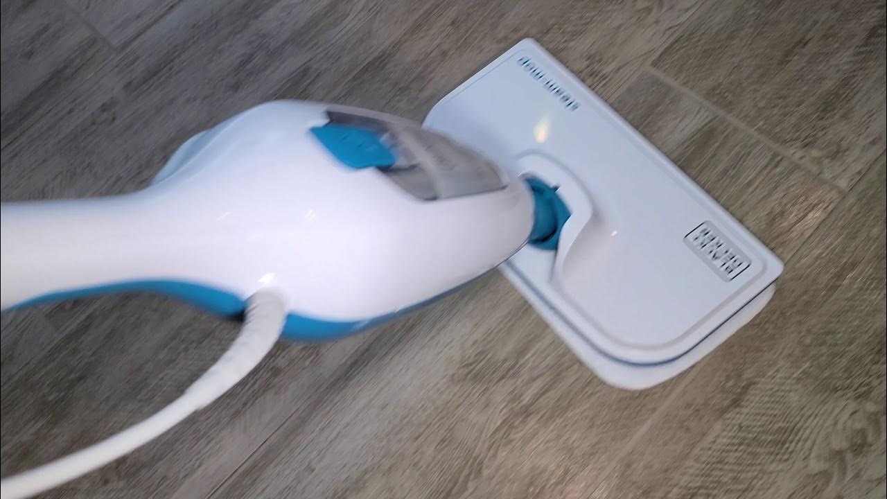 Mingus & Dottie Try It: Black & Decker Steam Mop