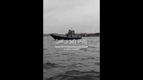 القارئ الشيخ ياسر الدوسري#سورة الحج رقم الآية ١٨