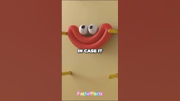 Random Facts 🤯 #satisfying #video #random #facts #factshorts #fy #fyp #randomfacts #education