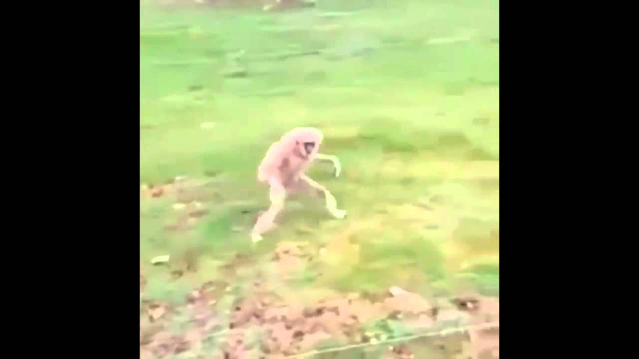 Swiggity Swooty Coming For That Booty