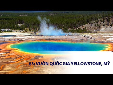 Video: Gần Vườn quốc gia Yellowstone vào năm 2022