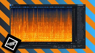 iZotope RX: Why Is Everyone In Love With This Thing?