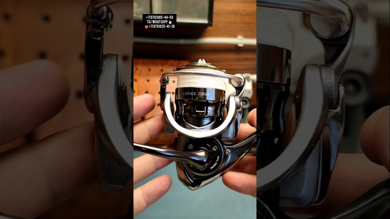 Daiwa 15 Luvias 2004H #daiwa #fishing #shimano #fishing #reels