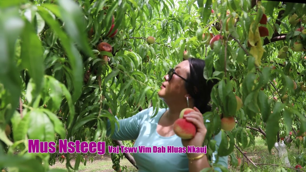 Mus Nsteeg Vaj Tswv Vim Dab Hluas Nkauj