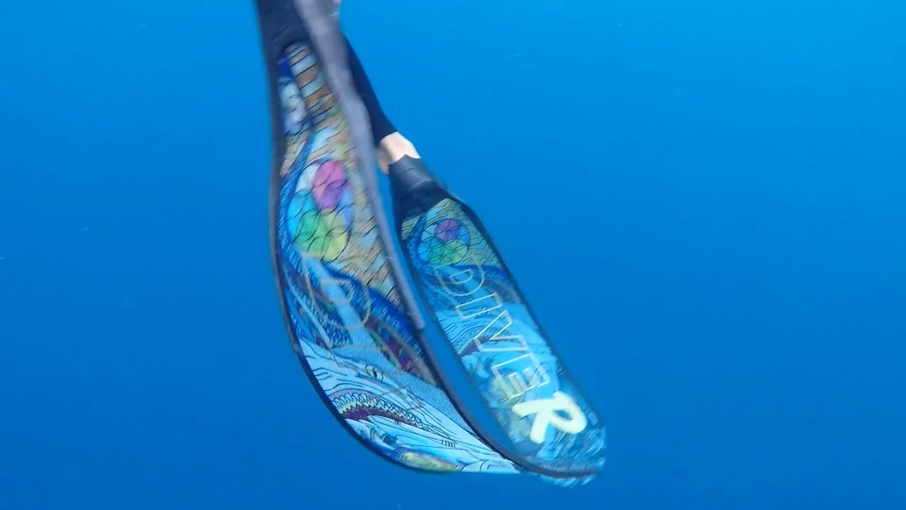 Free Immersion Apnea Freediving Practice Ternate, Indonesia YouTube