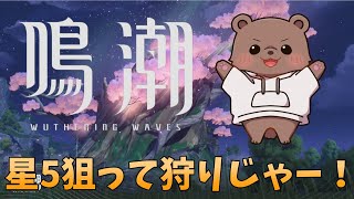 【#鳴潮 】視聴者さんと情報交換しながら星5狙っていく！【Vtuber/熊野ばーどん】
