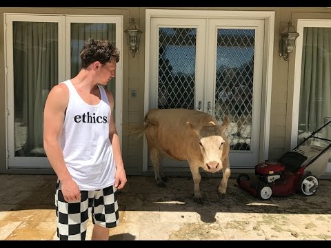 What I Eat In A Day in LA ft. Mic the Vegan, Kalel, Ian Thomas (Last Day) - What I Eat In A Day in LA ft. Mic the Vegan, Kalel, Ian Thomas (Last Day)