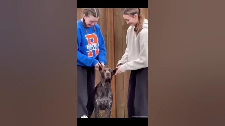 joke of the Day #jokeoftheday #jokes #funny #lol #humor #humanity