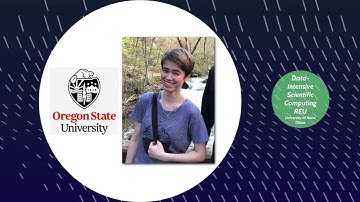 Exhaustive Heterogeneous Graphlet Counting for Network Alignment