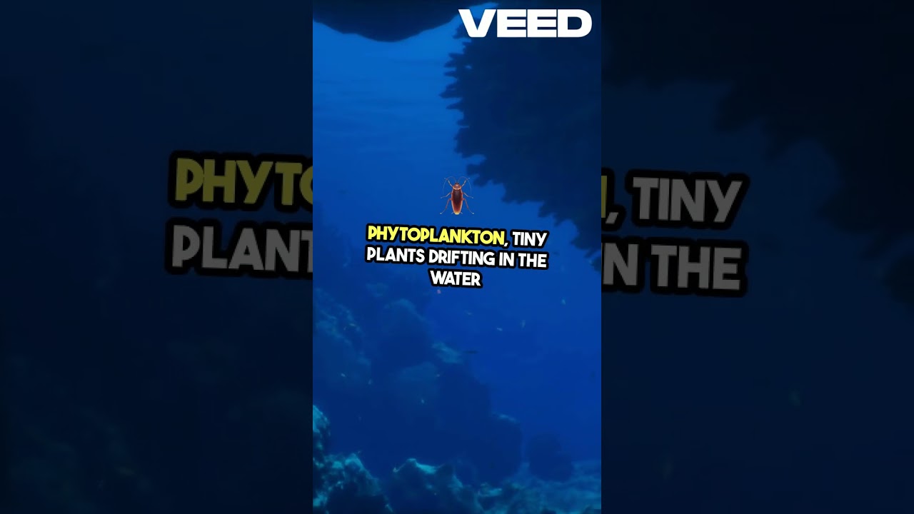 Discover Surprising Ocean Insights Today!