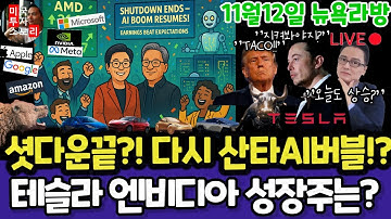 미국주식/셧다운 끝? AI버블은 다시 커지나?/테슬라 엔비디아 AMD 구글 애플 아마존 메타 마이크로소프트 팔란티어 아이온큐 리게티 QBTS 브로드컴 코어위브 UNH LLY 노보