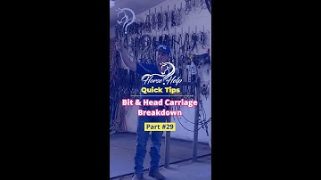 Bit And Head Carriage Breakdown! Part 29! | The Horse Guru-Michael Gascon