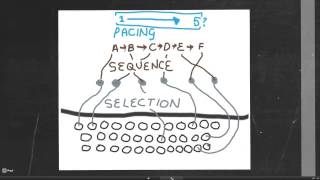 Celebrity cracking the code to educational analysis - question 6 Net Worth