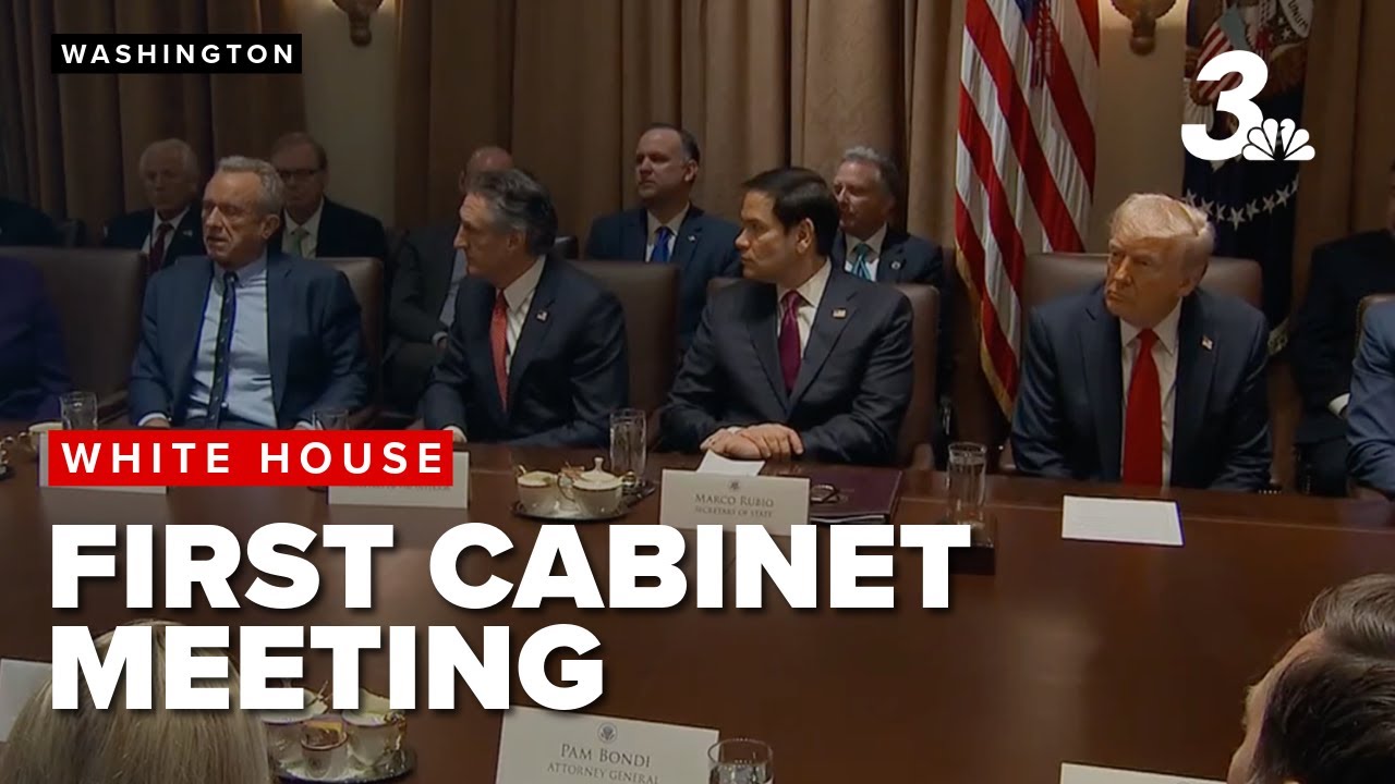 Trump holds first cabinet meeting of new term with Elon Musk in ...