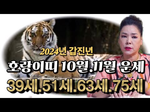 💥호랑이띠(<strong>양력</strong>)10월.11월운세 🐯10월.12월달은 하는일마다 대박!