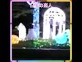 😊 ✨🎵✨舟木一夫(最新)「日曜の恋人」 #舟木一夫コンサート