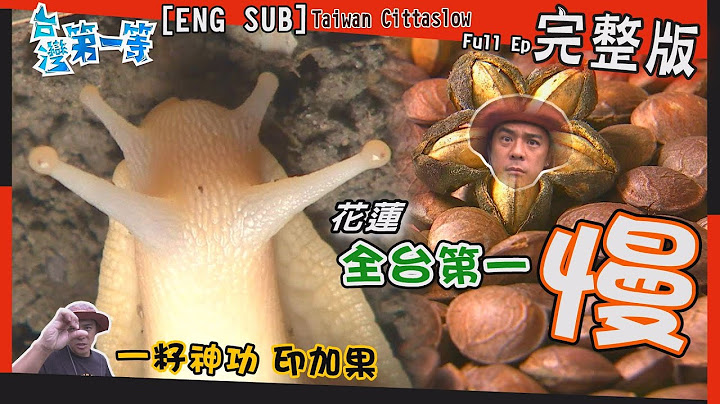 [全新] 花蓮Hualien【好油印加果  這"仁"用處多 / 顆顆白玉暗夜大出  蝸牛軍團"錢"途大好 / 台灣第一慢 百年菸樓"烤起司"  】│2021.12.05│《台灣第一等》完整版