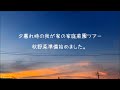 夕暮れ時の我が家の家庭菜園ツアー 秋冬野菜の準備始めました。