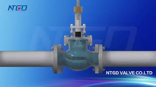NTGD API Globe Valve