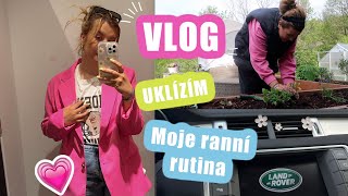 VLOG- Sázím kytky, Uklízím a Moje ranní rutina 😴