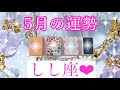 💐✨5月の運勢✨💐しし座さん✨💖【見たときがタイミング🥰】💖Mizuhoタロット💖オラクルカードリーディング💌