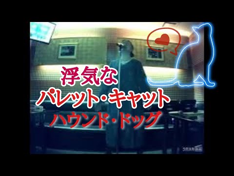 ハウンド・ドッグ／浮気なパレット・キャット／Cover／木原敏雄さん追悼曲【うたスキ動画】