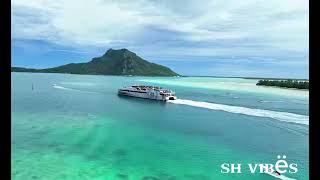 𝗦𝗛𝗩 𝗢𝟱 𝗔𝗻𝗴elo... 𝗡𝗲𝘂.... 𝗔𝗿𝗶...